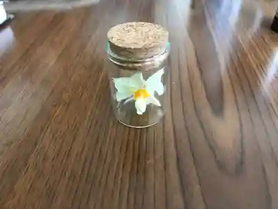 大雄院のその他建物