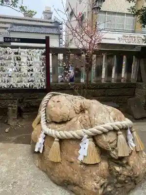 武蔵一宮氷川神社(埼玉県)