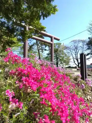 厚別神社(北海道)