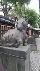 牛嶋神社の狛犬