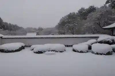 正伝護国禅寺(正伝寺･正傳寺)(京都府)