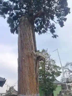 八剱神社（更屋敷）(愛知県)