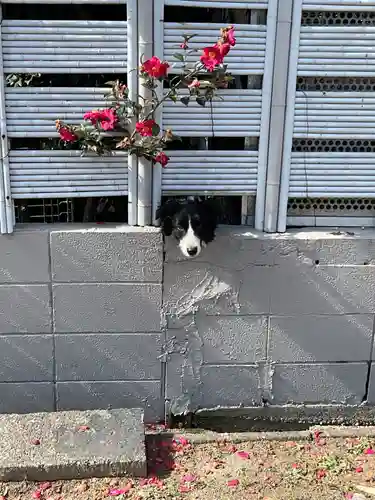 圓光禅寺（円光寺）(愛知県)