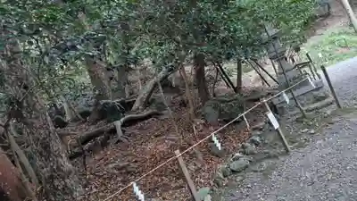 出雲大神宮(京都府)