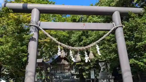 大麻神社の鳥居