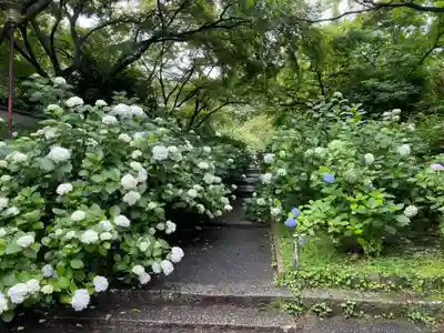 久安寺(大阪府)