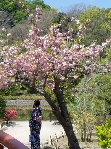 鶴岡八幡宮の庭園