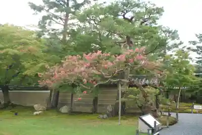 高台寺（高台寿聖禅寺・高臺寺）(京都府)