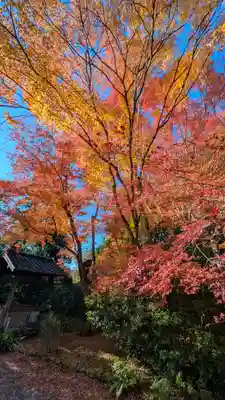 常照寺(京都府)