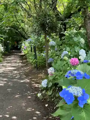興禅院(埼玉県)