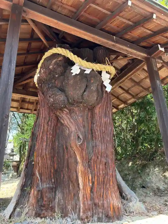 大直禰子神社(奈良県)