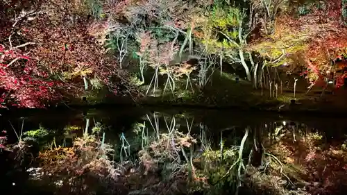 高台寺（高台寿聖禅寺・高臺寺）の庭園