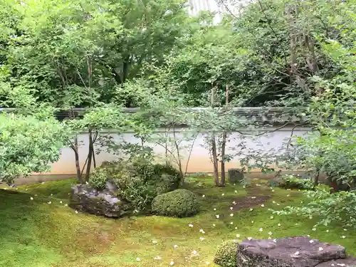 東林院の庭園