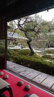 雲龍院(京都府)