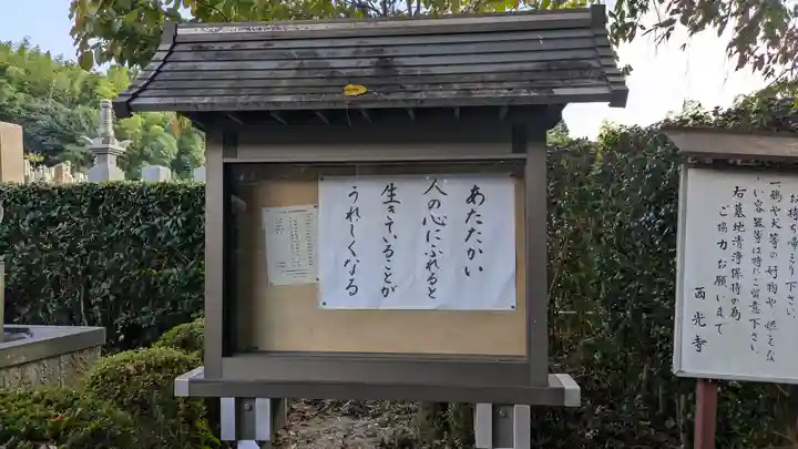 西光寺(京都府)