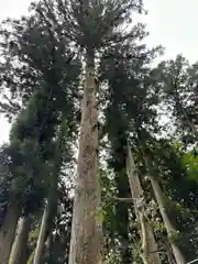 中之嶽神社(群馬県)