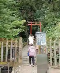 松尾大社の鳥居