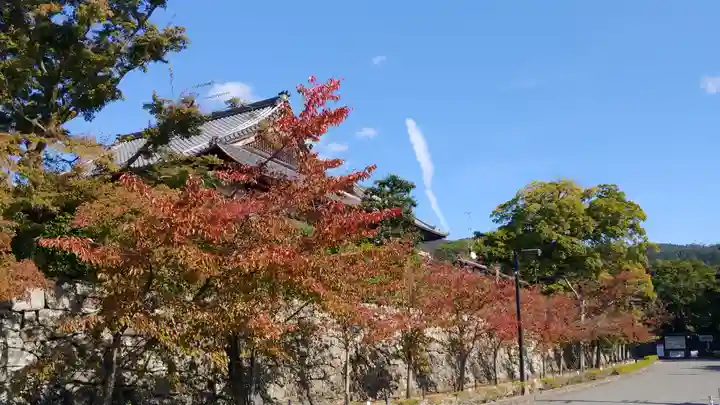 くろ谷 金戒光明寺の自然