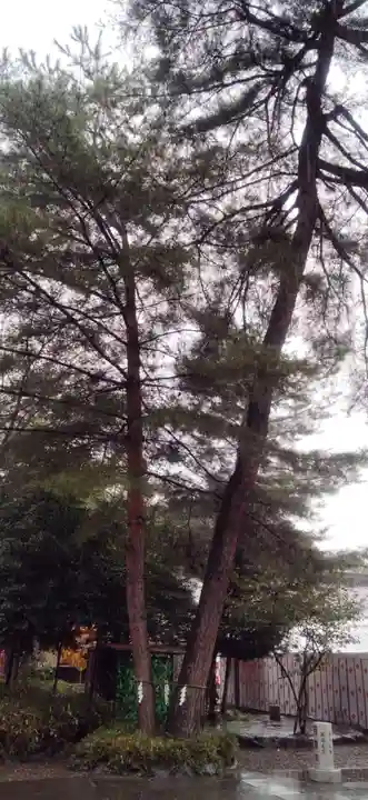 櫻木神社(千葉県)