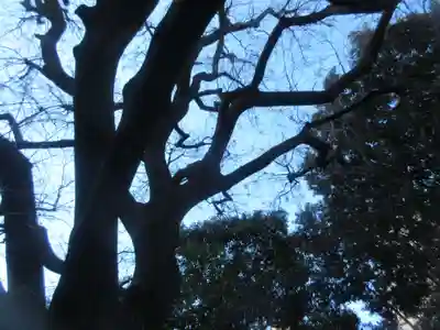 湯島聖堂(東京都)