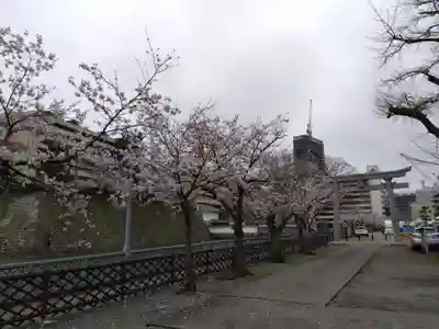 福井神社(福井県)
