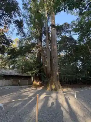 伊勢神宮内宮（皇大神宮）の{uncategorized: "未分類", other: "その他", undefined: "問題あり", building: "その他建物", grave: "お墓", sacred_gate: "鳥居", guardian: "狛犬", statue: "像", buddha: "仏像", history: "歴史", nature: "自然", garden: "庭園", animal: "動物", pagoda: "塔", temizu: "手水舎", mountain_gate: "山門・神門", sanctuary: "本殿・本堂", subordinate: "末社・摂社", art: "芸術", scenery: "景色", jizo: "地蔵", ema: "絵馬", goshuin: "御朱印", omikuji: "おみくじ", items: "授与品その他", amulet: "お守り", goshuincho: "御朱印帳", eats: "食事", festival: "お祭り", votive_dance: "神楽", shichigosan: "七五三参", wedding: "結婚式", experience: "体験その他", initially: "初詣", around: "周辺", anti_infection: "感染症対策"}