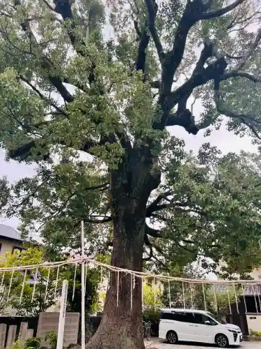 呉服神社(大阪府)