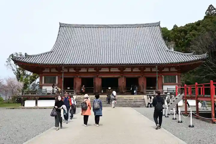 醍醐寺(京都府)