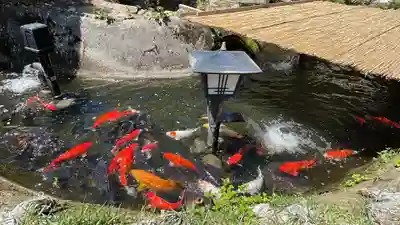 神野寺(千葉県)