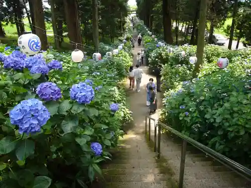 磯山神社の自然