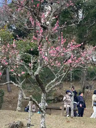 成田山新勝寺(千葉県)