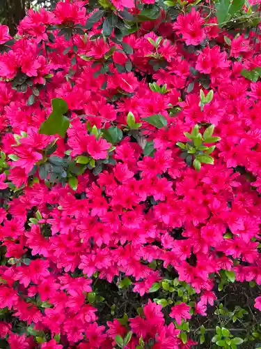  七国山薬王寺(東京都)