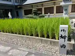 愛知縣護國神社(愛知県)