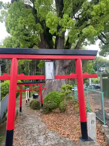 尾崎稲荷大明神(大阪府)