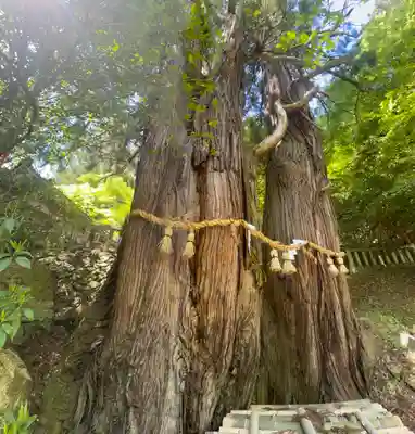 導観稲荷神社(京都府)