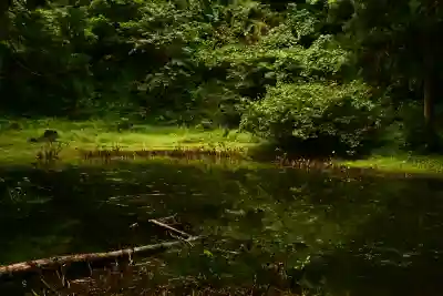 郡殿の池弁財天社(新潟県)