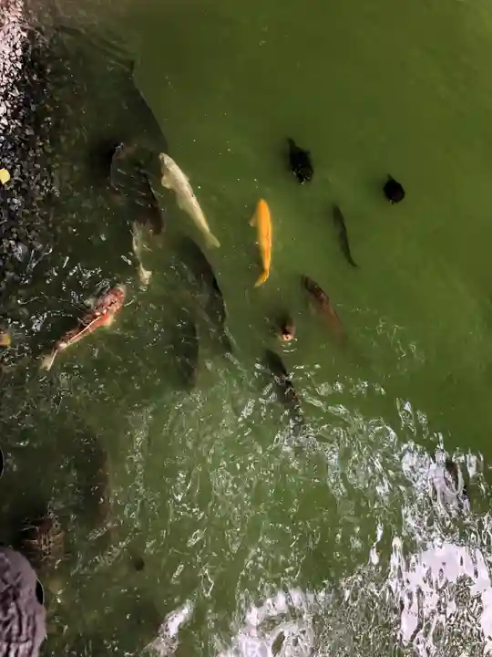 善寶寺(山形県)