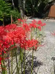 渭伊神社の自然