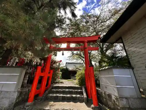 三宝稲荷荼枳尼天の鳥居