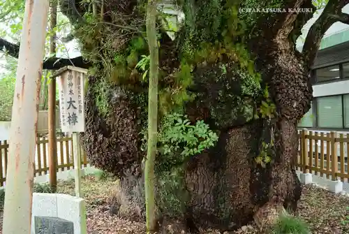 富知六所浅間神社(静岡県)