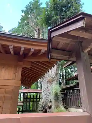 大渕天神社(茨城県)