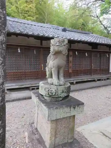 天神社の狛犬