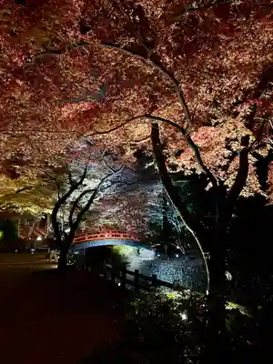 北野天満宮(京都府)