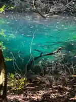 丸池神社(山形県)