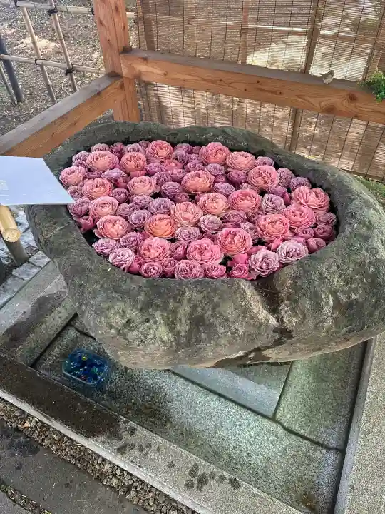 発寒神社(北海道)