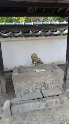 賀茂神社(京都府)