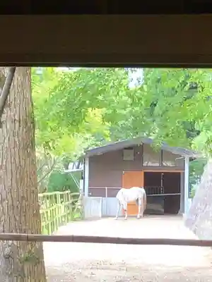 鹿児島神宮(鹿児島県)