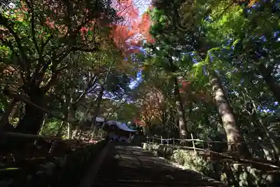 鰐淵寺のその他建物