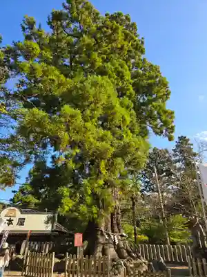 筑波山神社(茨城県)