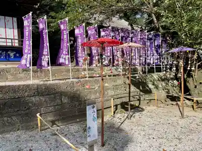 下野 星宮神社(栃木県)